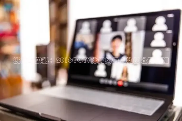 挑战与荣耀：2016CCTV体育风云人物的壮丽征程